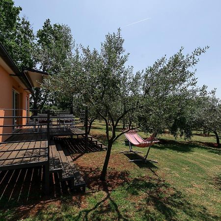 Sun Garden Premium Apartments Vrsar Extérieur photo